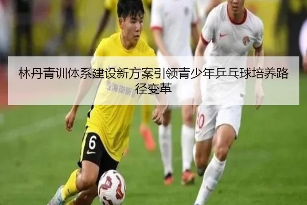 林丹青训体系建设新方案引领青少年乒乓球培养路径变革